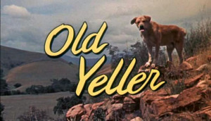 ... rushed to release a cash in product. So we have Old Yeller dog food
