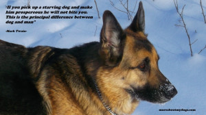 Funny Dog Quotes With Pictures: Dog Quotes With Pictures Of Strong Dog ...