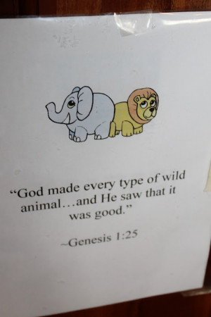 The second Bible Verse focused on creation.