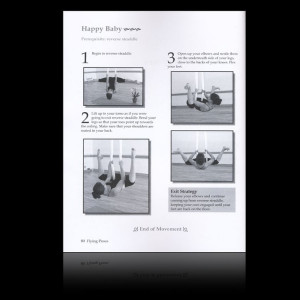 The Aerial Yoga Manual : Volume 1 Rebekah Leach (Ringbound)