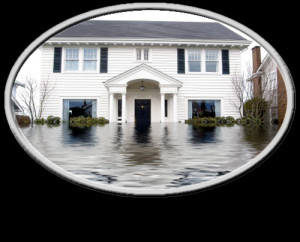 Flood-Insurance