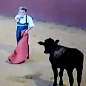 Unsustainable violence from students in bullfighting schools: they are ...