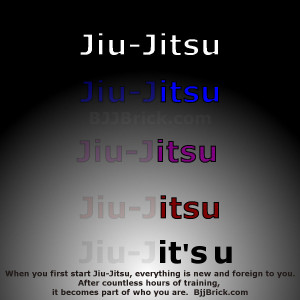 Jiu Jitsu Quotes And Sayings