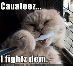 Even cat brush their teeth