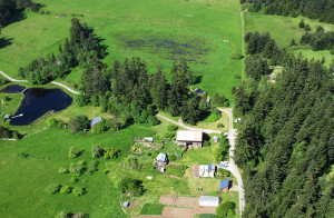 We raise cattle, pigs and compost in a way that honors the animals and ...