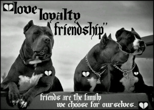 Pit Bulls are my Family