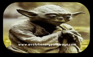 Proactive Yoda Wisdom -