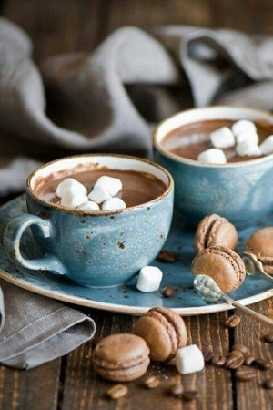 Ways to Make Hot Chocolate Look and Taste like It Came from a Coffee ...