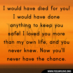 died for you! I would have done anything to keep you safe! I loved you ...