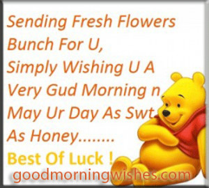 ... fresh flowers bunch for you simply wishing you a very good morning