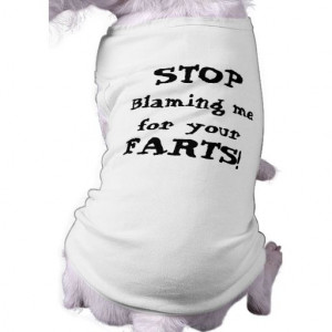 Stop Blaming me for your Farts! Pet Clothes