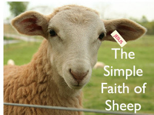 Ewe know it's all about TRUST!