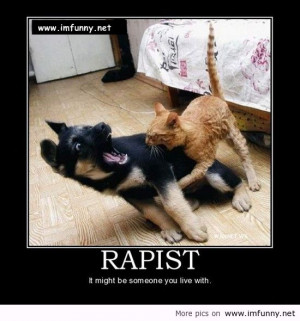 ... 2013, funny quotes, funny sayings and quotes, funny situations