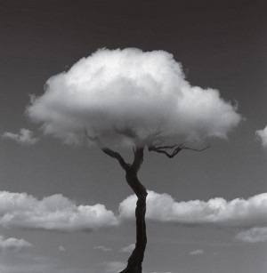 ... chema madoz has a unique perspective for black and white photography