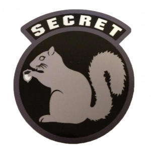 Secret Squirrel Workouts