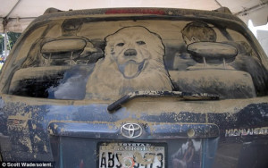Stunning Paintings Art on A Dusty Dirty Cars