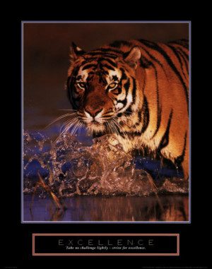 Excellence: Bengal Tiger