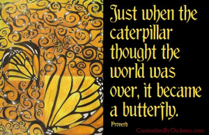 It became a butterfly…