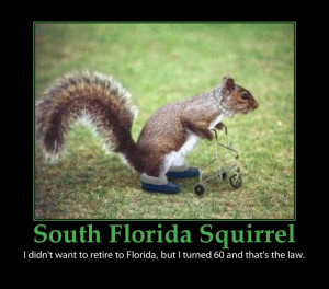 cute squirrels-florida retirement-funny poster
