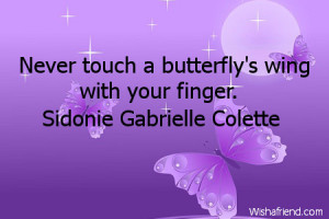 Never touch a butterfly's wing with your finger.