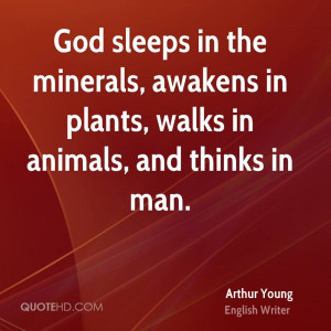 minerals quotes
