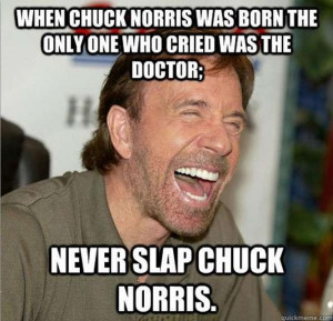 Related Pictures fp9440 chuck norris facts 1 posters chuck norris ...