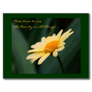 daisy flower quotes 3