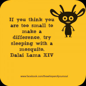 ... YOU ARE TOO SMALL TO MAKE A DIFFERENCE, TRY SLEEPING WITH A MOSQUITO