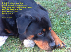 Quotes About Dogs Tumblr These dog quotes (part 2)