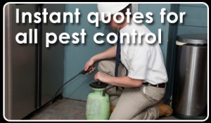 Do you need a new pest control? Then get up to 5 instant quotes for ...