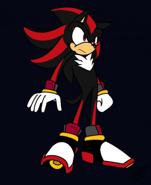 Shadow The Hedgehog Riders