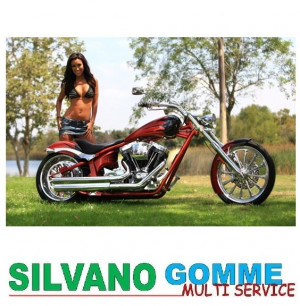 Pneumatici Harley Davidson