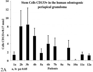 Pro Adult Stem Cell Research And stem-cell research