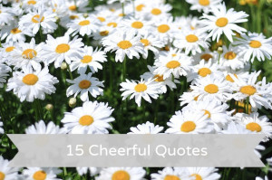 Post image for 15 Cheerful Quotes
