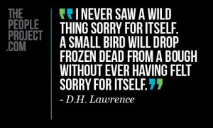 ... from a bough without e http://thepeopleproject.com/share-a-quote.php