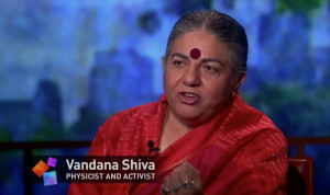 Vandana-Shiva-Genetically-Modified-Seeds-interview.jpg