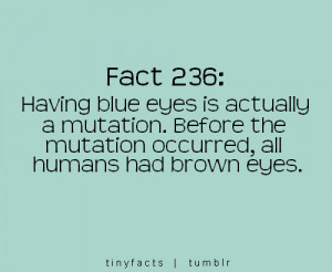 Fact Quote ~ Having blue eyes is actually a mutation. Before the…