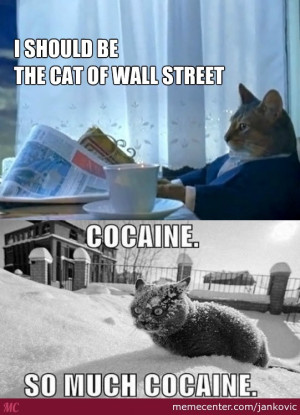 the-cat-of-wall-street_o_2734983.jpg