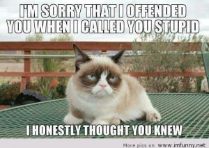 Grumpy Cat Stupid People