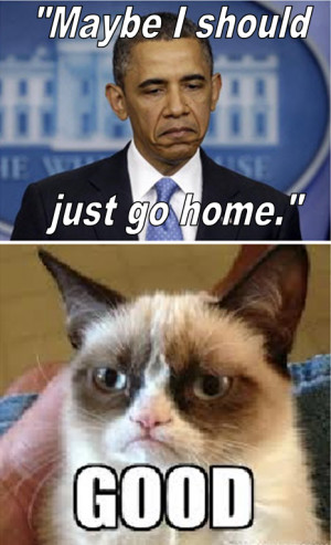 Grumpy Cat For President