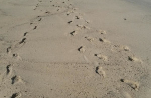 How Healthy Love After Childhood Abuse is Tricky but NOT Impossible