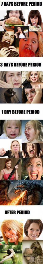 Women Before And After Their Period