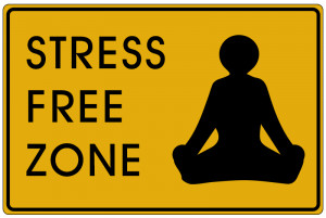 everyone feels stress at certain points of their life stress affects ...