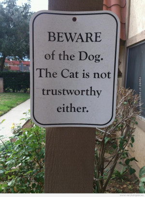 funny-pictures-beware-of-the-dog-the-cat-is-not-trustworthy-either.jpg