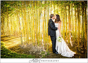 japanese-friendship-gardens-balboa-park-san-diego-wedding-photography ...