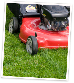 Get Free Quotes on a Lawn Mowing