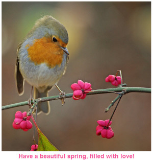 Best Wishes for My Friends in Spring [beautiful bird picture]