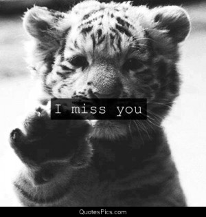 cute friends life little tiger love miss you sad tiger post navigation