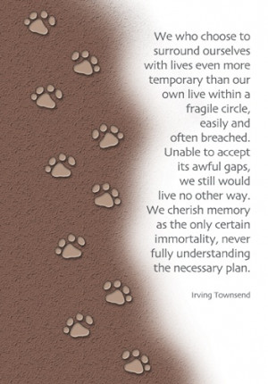 Dog Loss Quotes Like. sympathy card for the