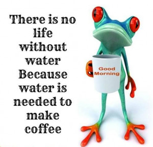 Blog Funny Save Water...